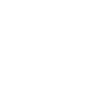 Portfolio Favicon:Logo